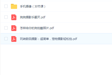 宠物摄影