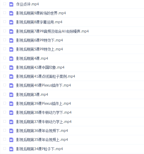 雪雪老师大鹏影视后期行业实战