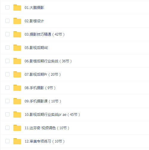 大鹏教育摄影影视正式课合集(12合一)