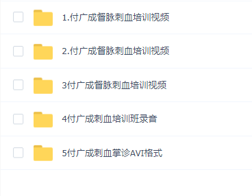 付广成-督脉刺血培训视频