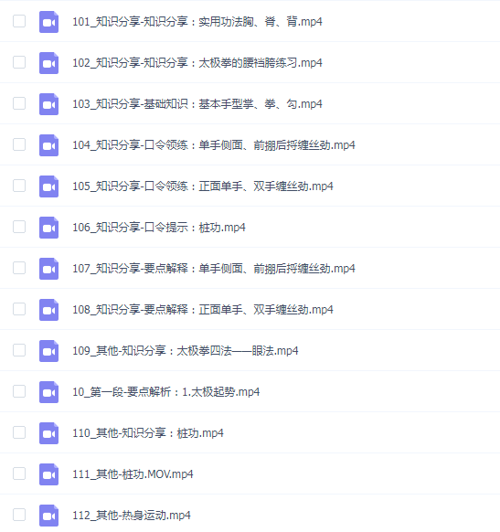 太极郑冬霞——陈氏老架一路教学专栏_太极郑冬霞(111集)