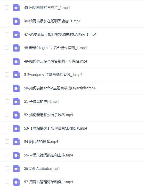 Wordpress外贸建站+SEO优化课程