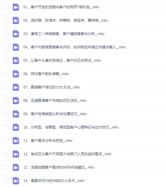 闫治民-拿下大单:大客户销售流程及攻略 视频课